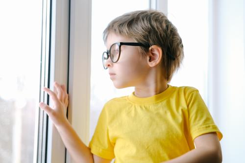 The visual environment in myopia