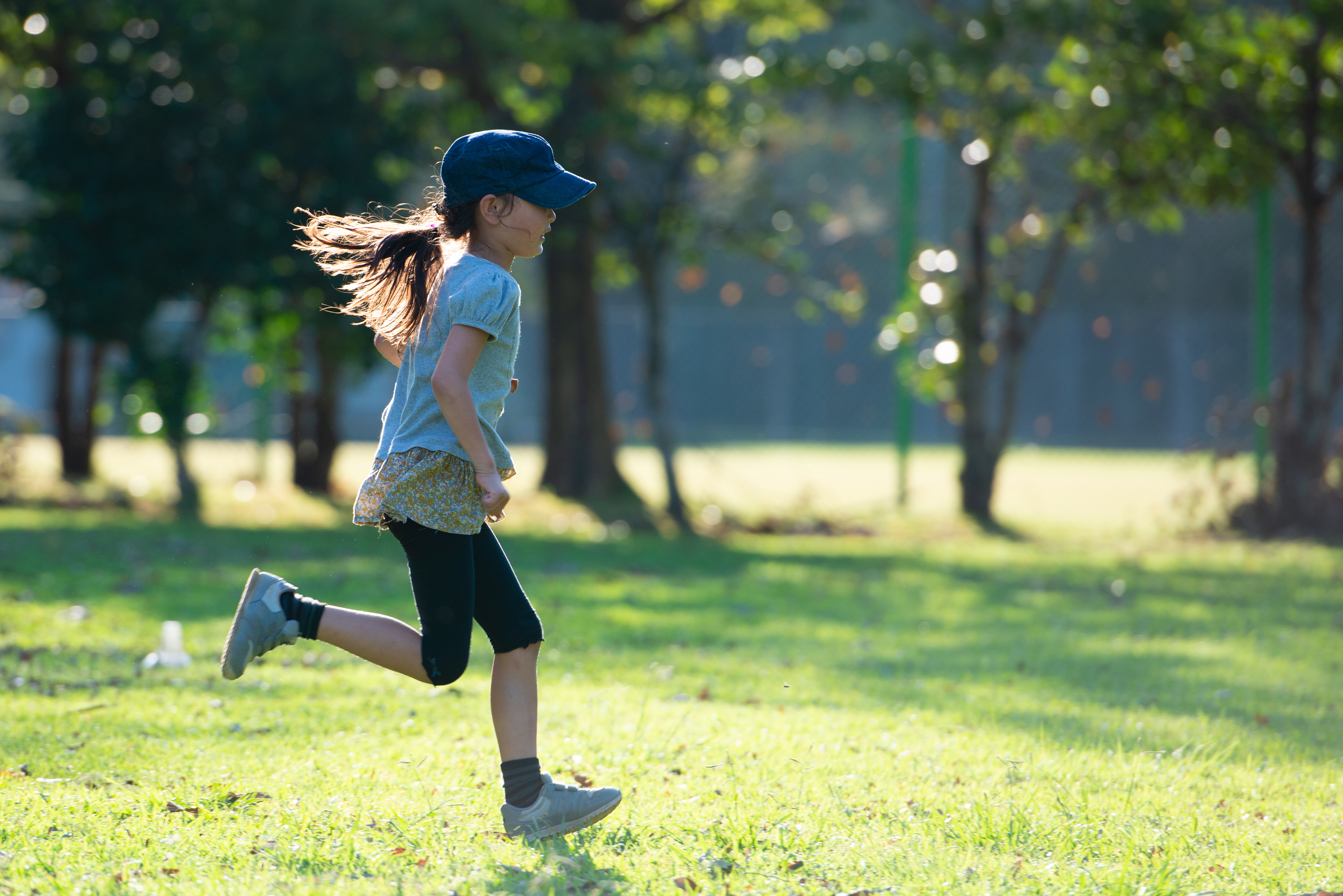 iStock-1175252063.jpg