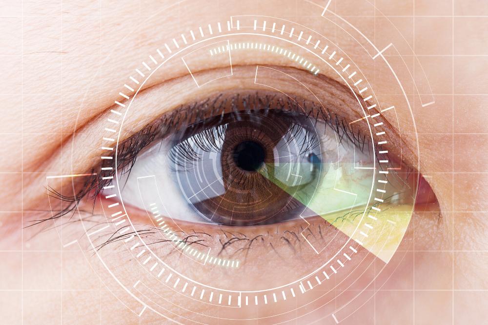 biometric pattern brown eye.jpg