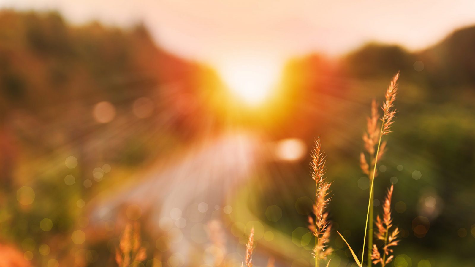 iStock-615619640-scaled-e1621314156301.jpg