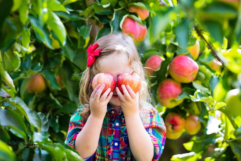 iStock-489760350.jpg