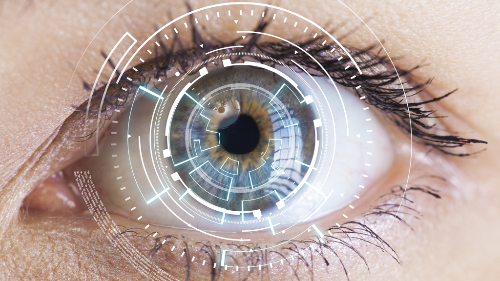 Accommodation training in multifocal contact lens wear