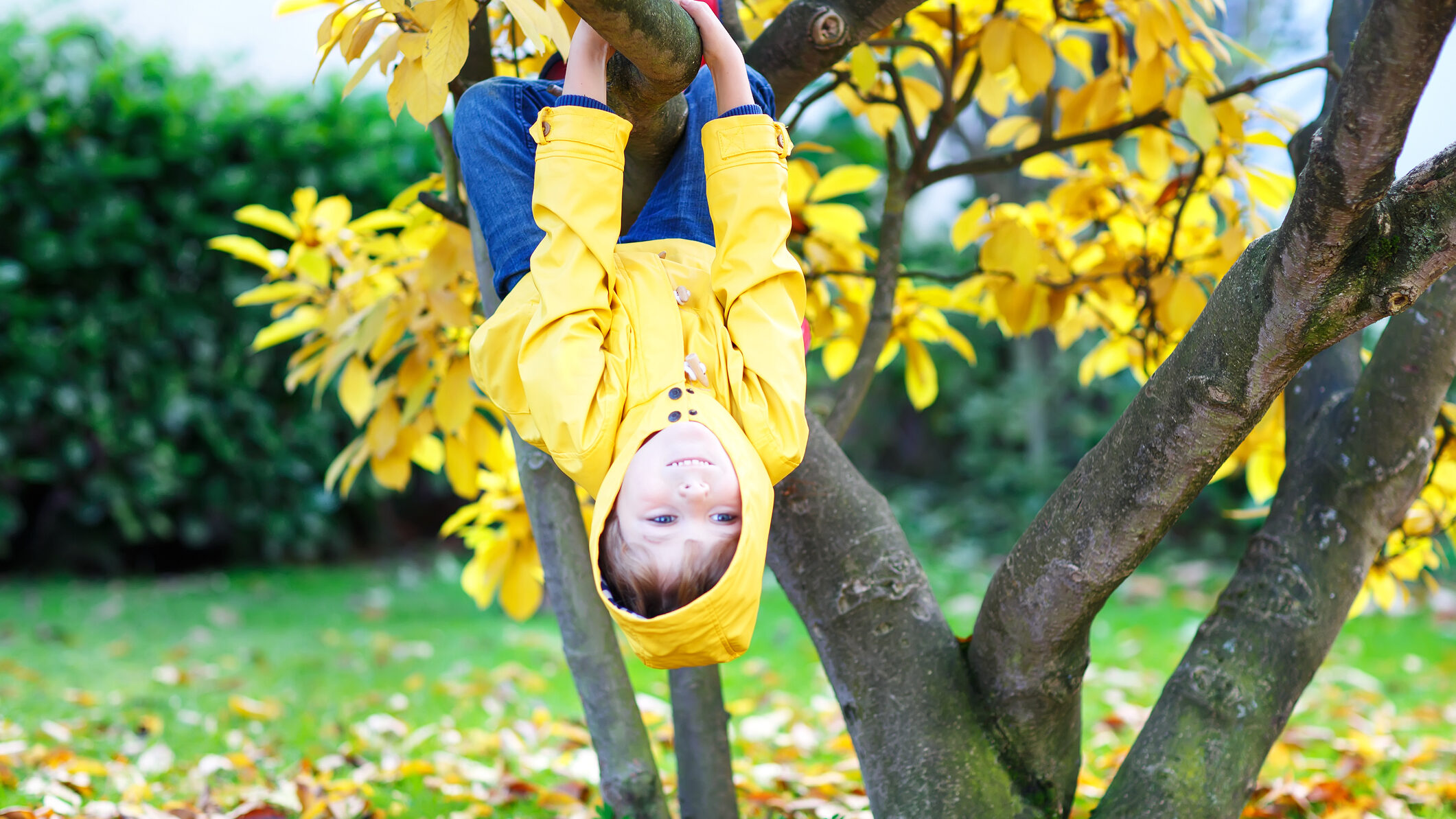 iStock-1015928148-e1665945415125.jpg