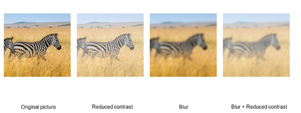 contrast-pic-zebra-1024x385.png