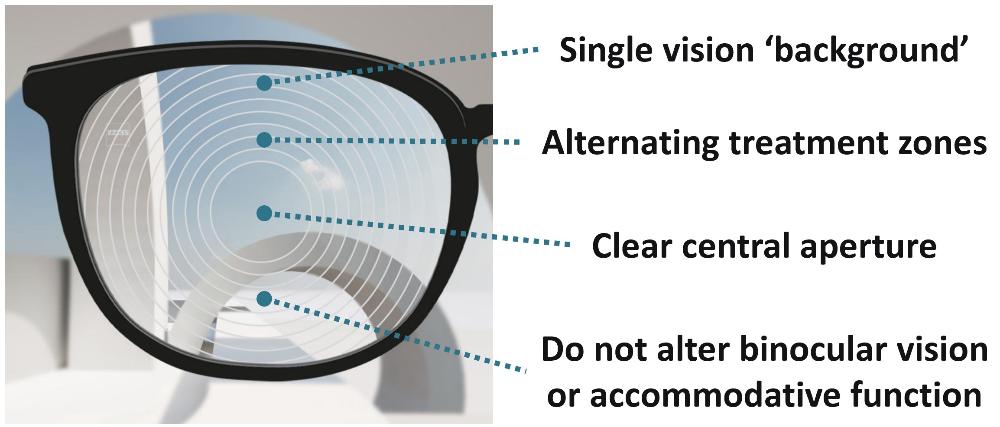 Design features.jpg